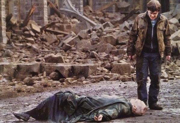 HPotterUniverse's tweet photo. There would be many casualties, but in the end Harry defeated Voldemort, and good defeated evil. #BattleofHogwarts http://t.co/0FuURK88IY