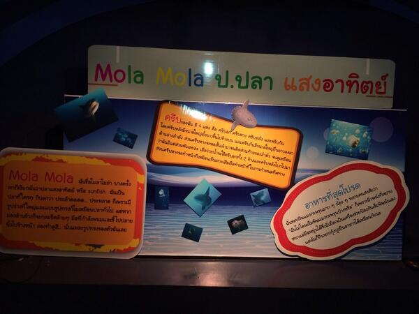 thanchanok_mint's tweet photo. พิพิธภัณฑ์วิทยาศาสตร์ทางทะเล มีสัตว์ทะเลแล้ว ยังมีศูนย์การเรียนรู้ให้ผู้ที่เข้าชมมาศึกษากันอีกด้วย 👍 http://t.co/fHKIezgLzK