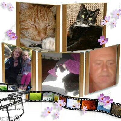 Cheyennre
Mileanne relevanter dora mistie kor