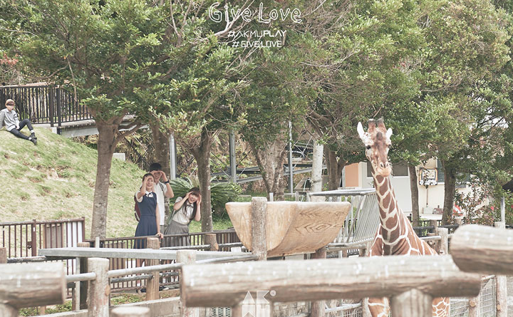 BmouD59CQAEENv-.png:large