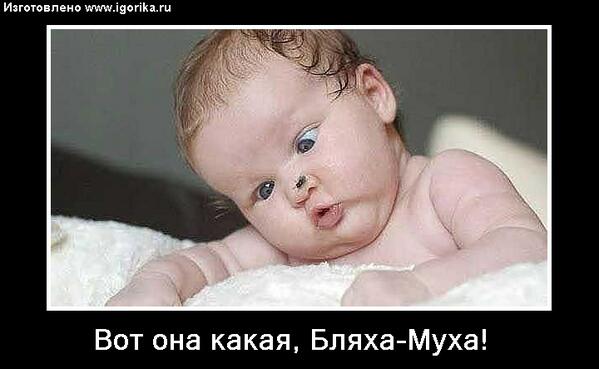 Garry_Muse's tweet photo. Забавно! Картинки с сайта http://t.co/xNroasViIl http://t.co/XQ8O8KyBaw