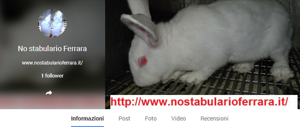 NoStabularioFe's tweet photo. No stabulario Ferrara è su Google+

Pagina #NoStabularioFerrara su G+ https://t.co/PMNsp6x6SH

. http://t.co/oGhoJV4jAJ
