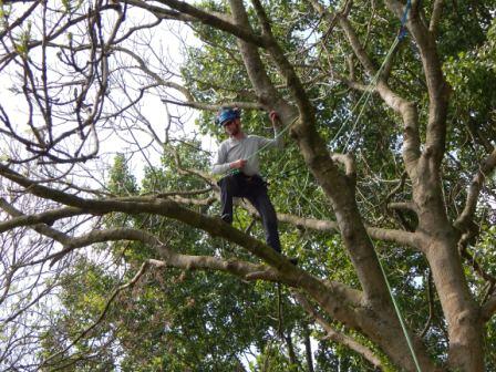 Decockgert's tweet photo. #arborist eerste solo klim; practice makes perfect #europeantreeworker #boomverzorger http://t.co/1f1yfpfS8O