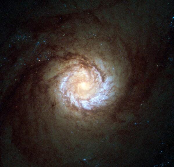 This hungry starburst galaxy forms stars &amp; its black hole core violently spews radiation: nasa.gov/content/goddar…