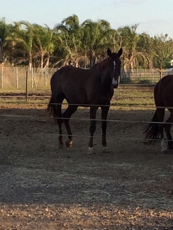 Danielle Goldstein tweet media