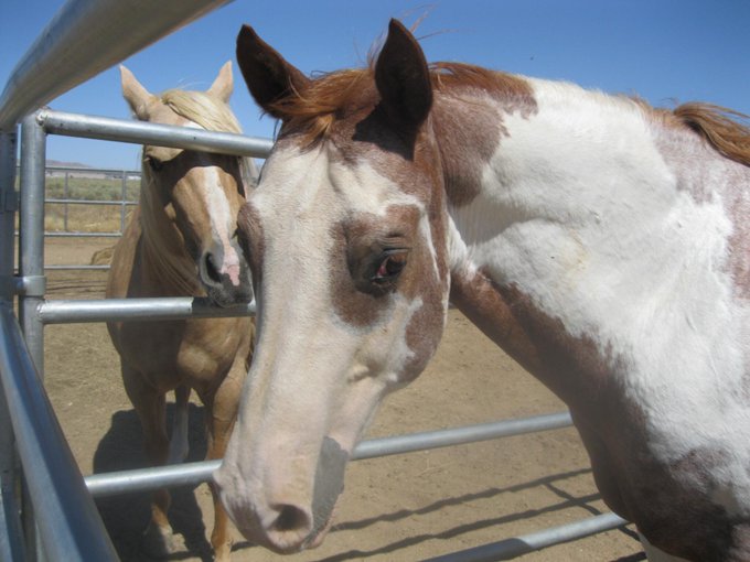 my ringo time to ride http://t.co/Ewm9OR9lDC