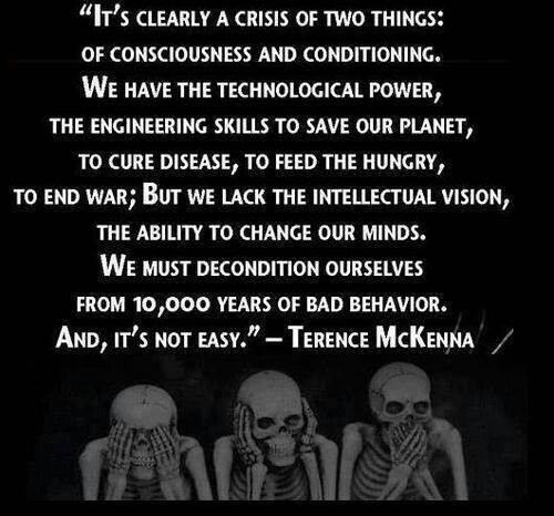 RealityLIB's tweet image. #terencemckenna #consciousness #RealityCheck