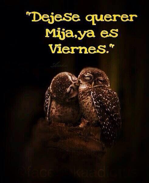 AdalidVara's tweet photo. #AmorAmorAmor http://t.co/5LnJGwg9Fx