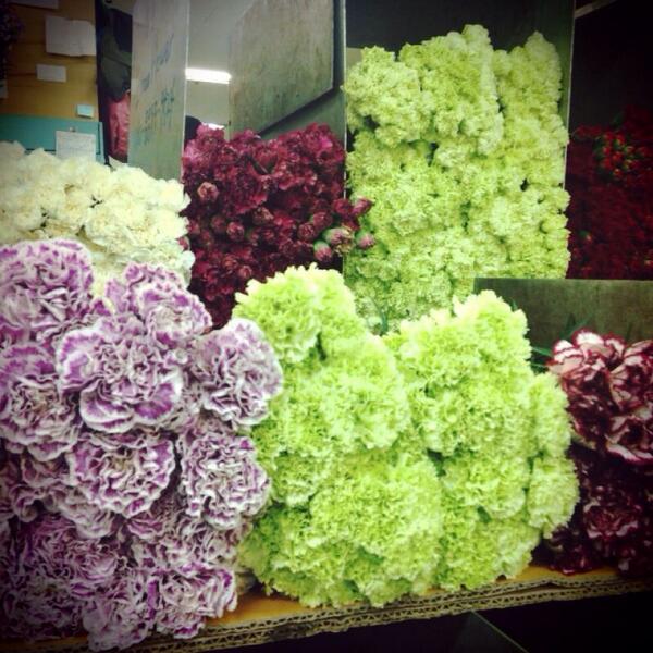 작약을 사러 왔는데 온통 카네이션과 라넌큘러스 뿐. 심지어 카네이션이 작약보다 세배나 비싸다. 꽃시장에 오니 비로소 5월.