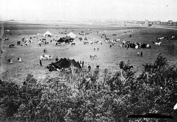 NataliAVAZYAN's tweet photo. Diyarbakır 1909 Surların dışı Şimdi bu arazi de koca bir şehir var http://t.co/VNNVxlHKI5
