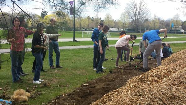 Berry planting by the soccer field!