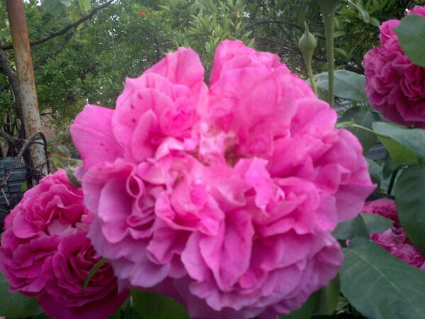 SINAYPIR09's tweet photo. http://t.co/vNGmgkhmn7