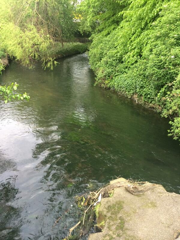 FlyCommission's tweet image. 5 minutes from my place, new adventure awaits... #flyfishing #tfc #theflycommission