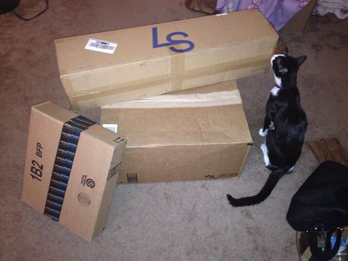 Penny and I got our presents today! (I was not expecting all of this to come today. What a pleasant surprise