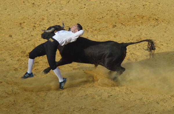 gonzaloajobusto's tweet photo. Increible el viajazo de @sergio_tororo ayer en tordesillas http://t.co/h0BqD1hvXU