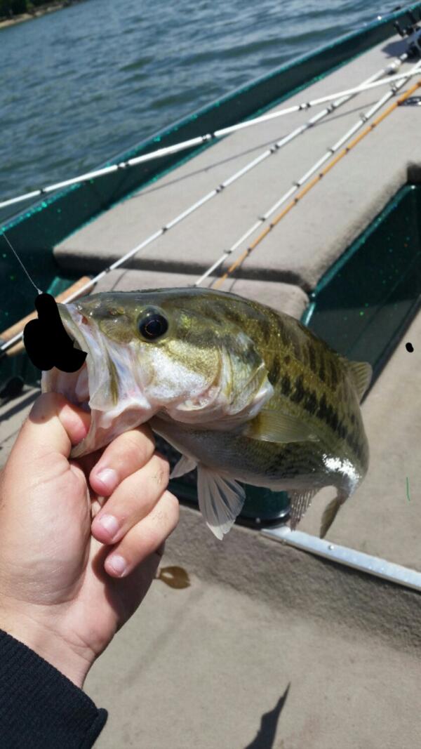 ASUBassClub tweet picture