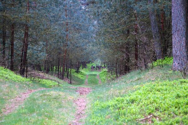 Wie kijkt nou naar wie?! Heel #OERRR @Natuurmonument <a href="/snpreizen/">SNP Natuurreizen</a>. snp.nl/reis/nederland…