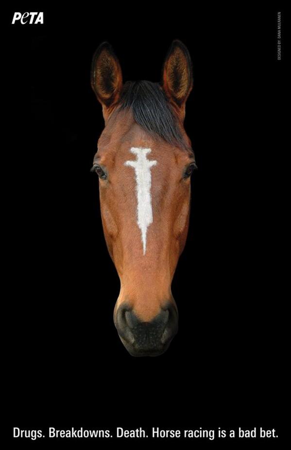 Hezzah's tweet image. .@PETA statement on #Untapable win: bit.ly/untapable 

#KYOaks  #KYDerby #horseracing