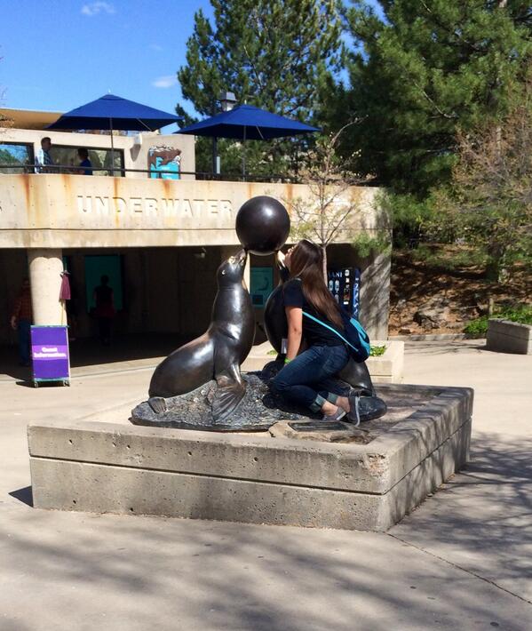 MakeupGirl_'s tweet photo. Sea lion #AmpedZingo http://t.co/0k6n2qdPW3