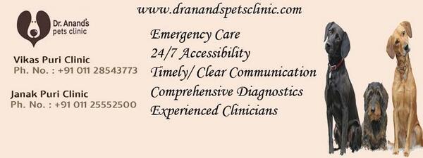 dr anand pet clinic vikaspuri