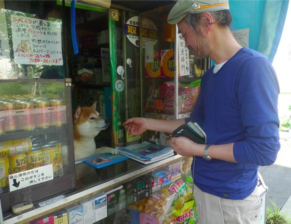 あの鈴木タバコ店の看板犬 シバちゃん が引退してた Matomehub まとめハブ あの鈴木タバコ店の看板犬 シバちゃん が引退してた Matomehub まとめハブ