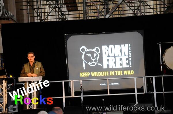 Will Travers) <a href="/willtravers/">Will Travers</a> Virginia McKenna OBE <a href="/V_McKenna/">Mckenna 🍨</a>    @kittybrucknell  <a href="/newquaytimes/">NewQuay Times</a> wildliferocks.co.uk