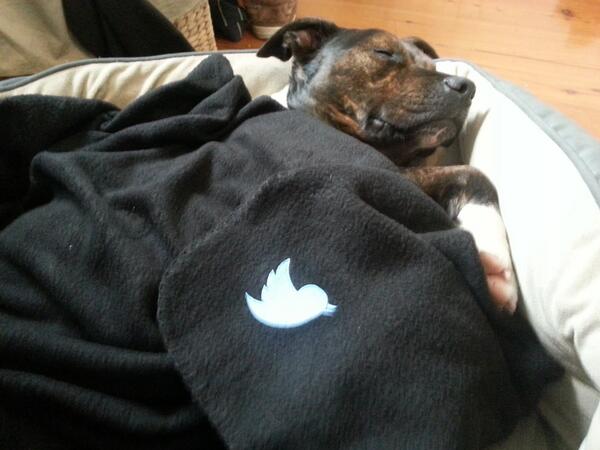 KohnShauna's tweet photo. Hey @TwitterAU, thanks for the blanket. We're all feeling the cold today! http://t.co/04tFDDIWwY