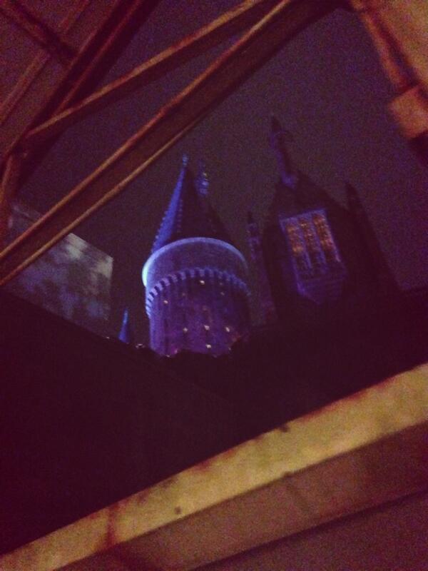 danielpolich's tweet image. Harry potter #gradbash2014