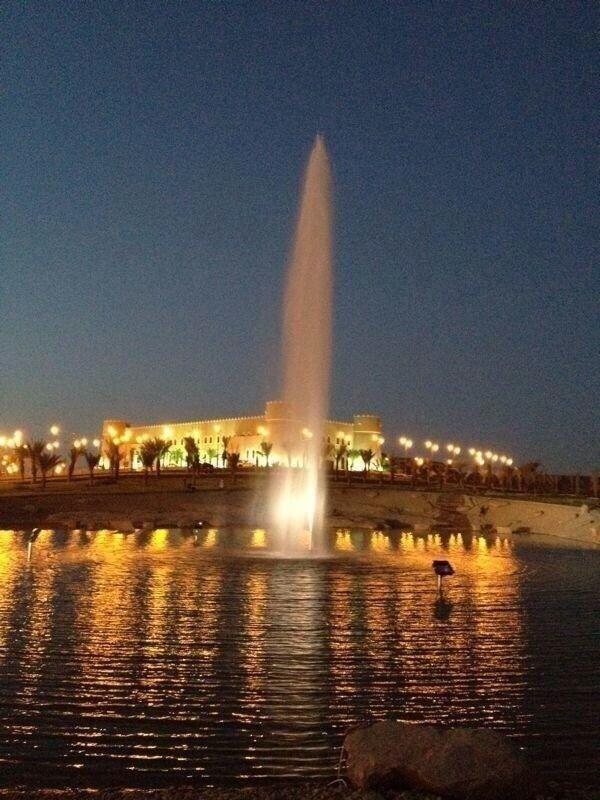 AlsalehMuhannad tweet picture