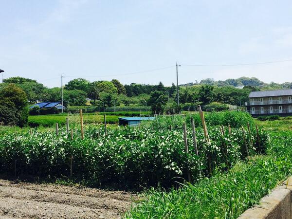 のら (@cmoup) on Twitter photo 