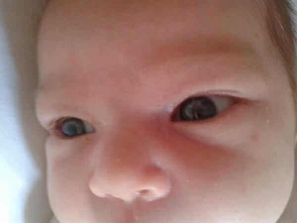 mia_colo's tweet photo. esa mirada me llena de amor! !!TE AMO ABRIL! !! http://t.co/0eph8M2nno