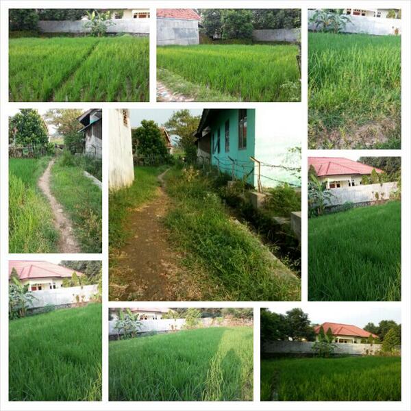 epeTgokiLL's tweet photo. Dijual tanah sekitar dukuhsawah majalengka..minat DM..#promoMjlk @infoMJLK http://t.co/Y41FqBEBdO