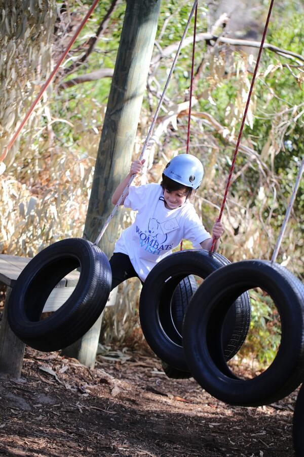 Wombat's Wish tweet media