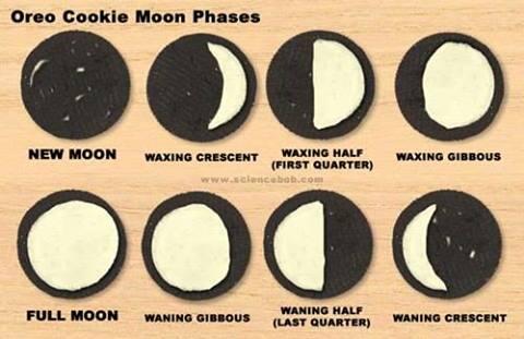 LiviaFay's tweet photo. No way I can forget them now! Phases of the moon chart, made from Oreos! Anne would be proud. #ACUedu_452 http://t.co/lIO9AEr1db