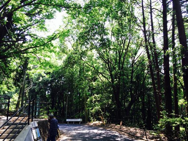 のら (@cmoup) on Twitter photo 