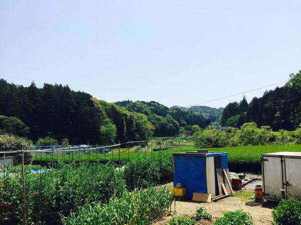 本格的に田舎になってきた