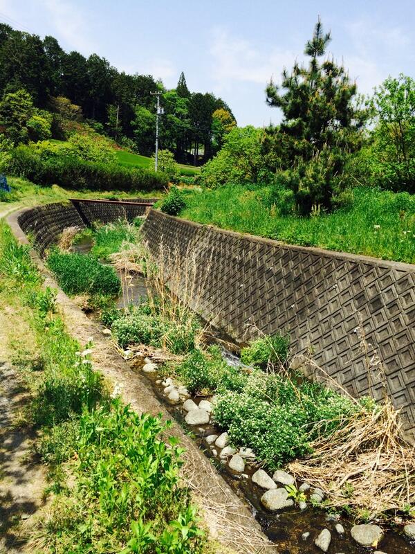 のら (@cmoup) on Twitter photo 
