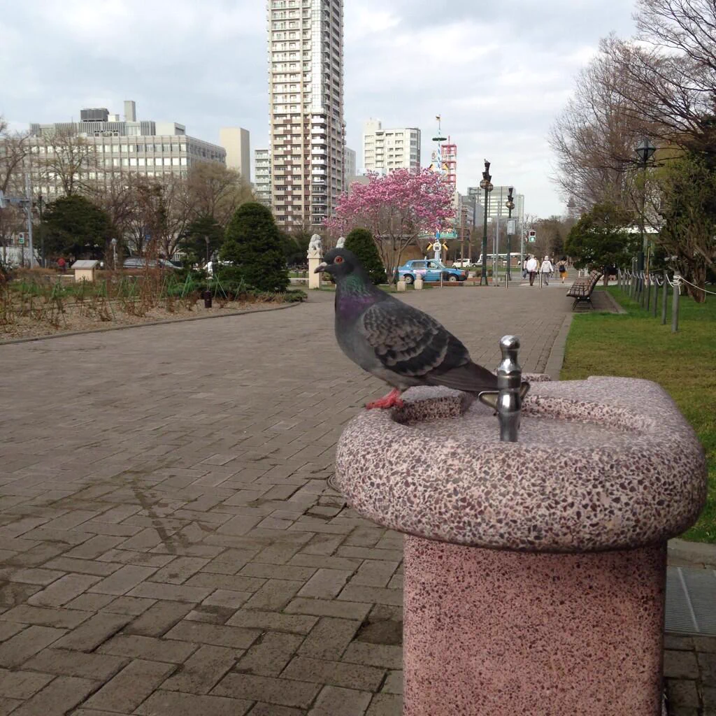 Miwako (@mwkst) / X