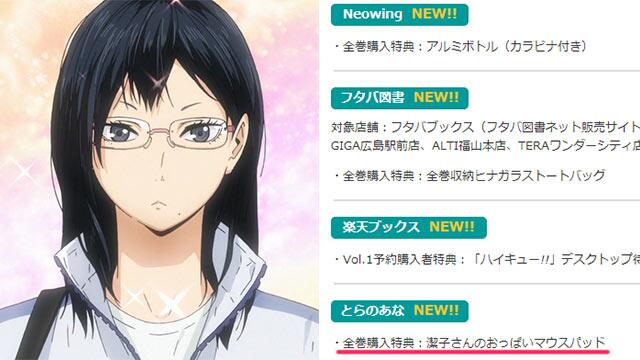 ハイキュー！! 潔子さんのおっぱいマウスパッド  とらのあな全巻連動購入特典+他 ハイキュー 清水潔子 おっぱいマウスパッド とらのあな