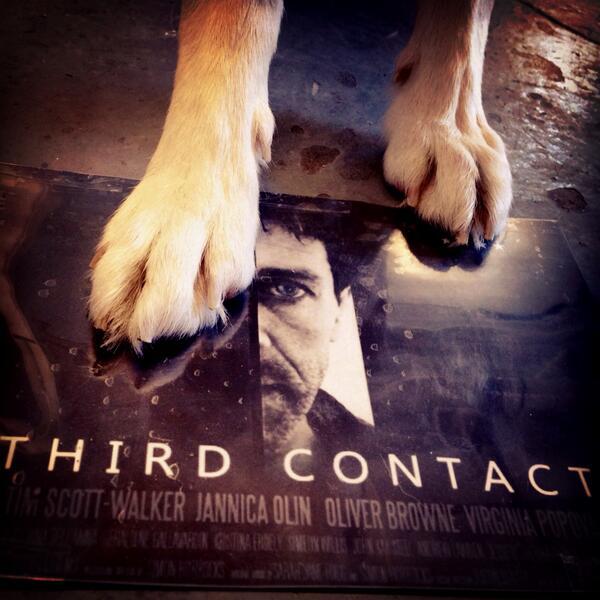hurdygurdygurl's tweet photo. @JayyPotter RT ►Third Contact Movie is coming to CANADA/USA! ☺ http://t.co/zyjDwVizg7 #ThirdContact #SupportIndieFilm http://t.co/9PUYJWsAUX