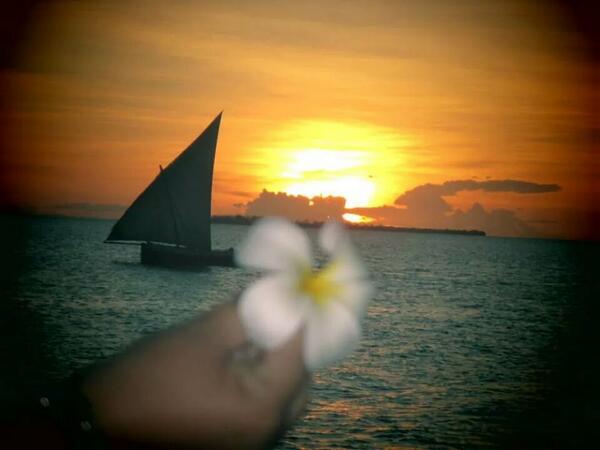 dragonnehell's tweet image. Coucher de soleil sur zanzibar! !!!!!