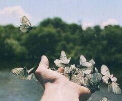 dragonnehell's tweet image. Envolez vous et distribuez tous pleins de bisous .......!