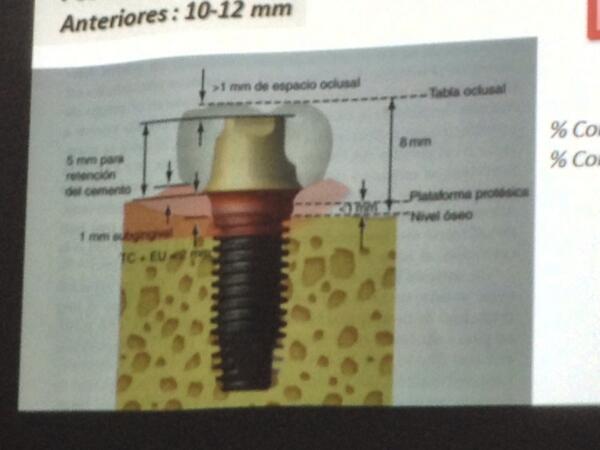 Javi Barbi (@javibarbi) on Twitter photo 