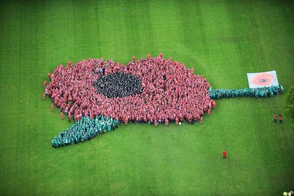 itvnews's tweet image. Flower people power sees poppy crowd set new Guinness World Record itv.co/1nSv5TD
