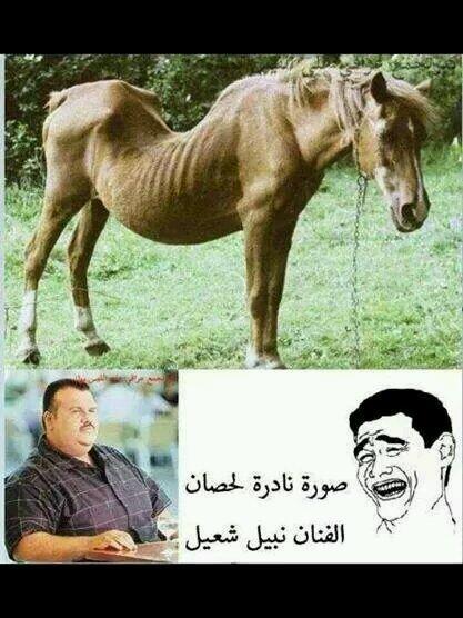 fff12450's tweet photo. ههههههههههههههههه http://t.co/01gf4eqHVr