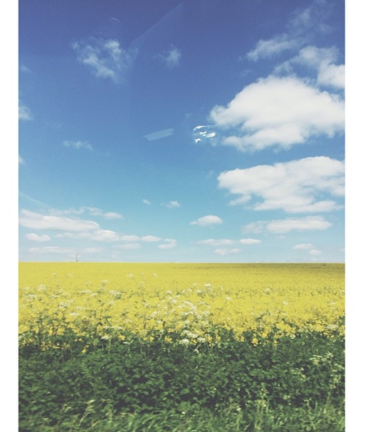 STALF_STUDIO's tweet photo. #Lincolnshire is so beautiful in the sun http://t.co/RlcFhzb8w7
