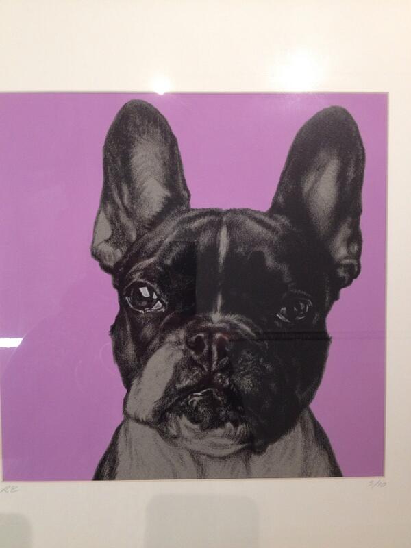 sweet_rasp's tweet photo. This is Massachusetts, you guessed it, Boston terrier. http://t.co/PynOGNdhiS