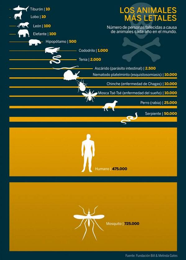 qCanteo's tweet photo. ¿Cuál es el animal más mortífero? Una interesante infografía difundida por Bill Gates nos da la respuesta. http://t.co/w364vyf1Ul