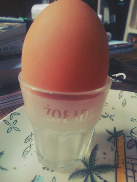 _EmilyChurchill's tweet image. Boiled egg in vodka shot glass.. @Basicerror #SaturdayBrunch