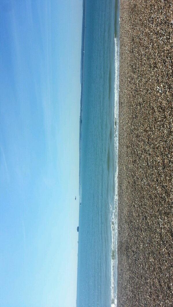 Brenda Day tweet media